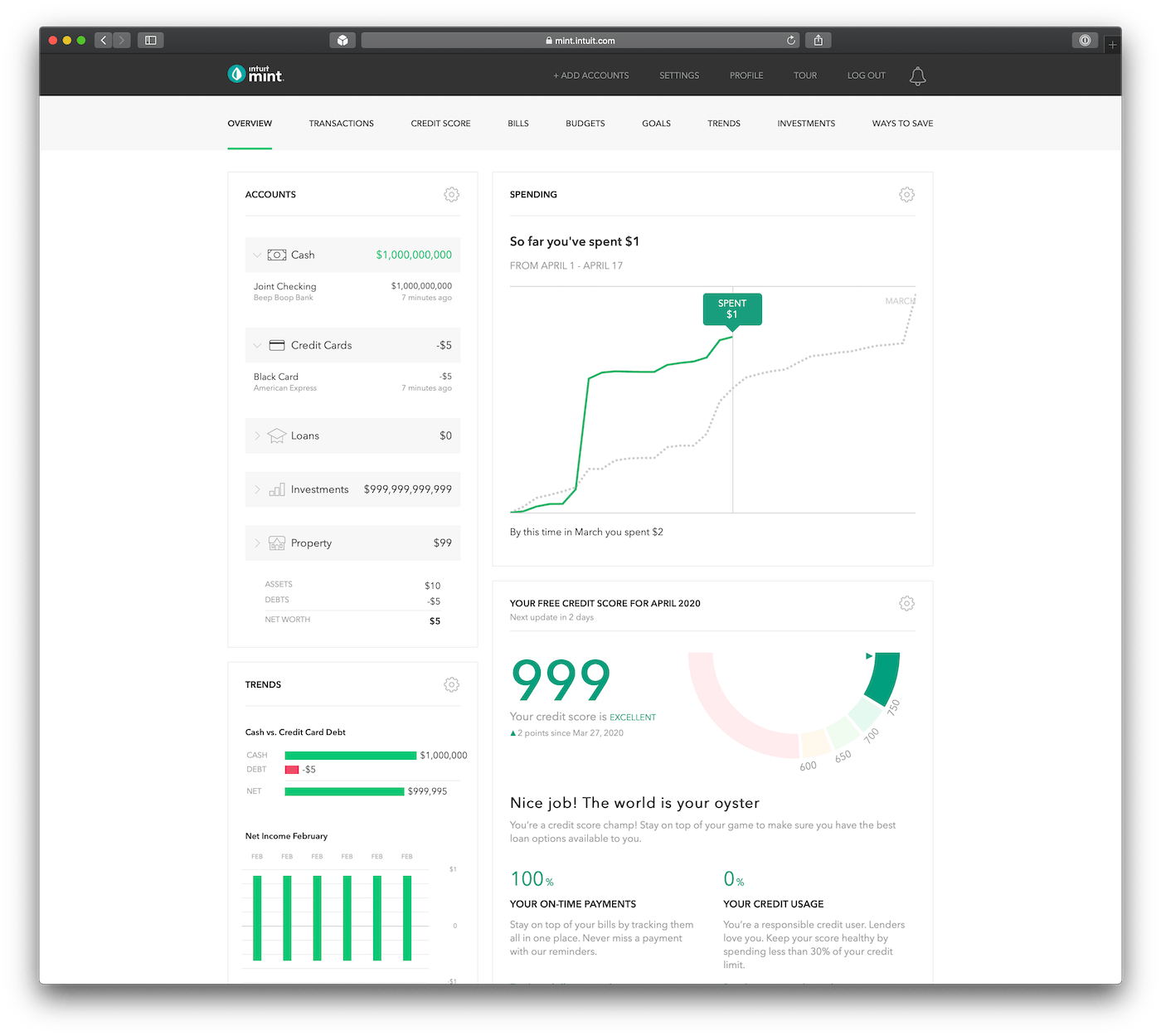mint.com overview page after