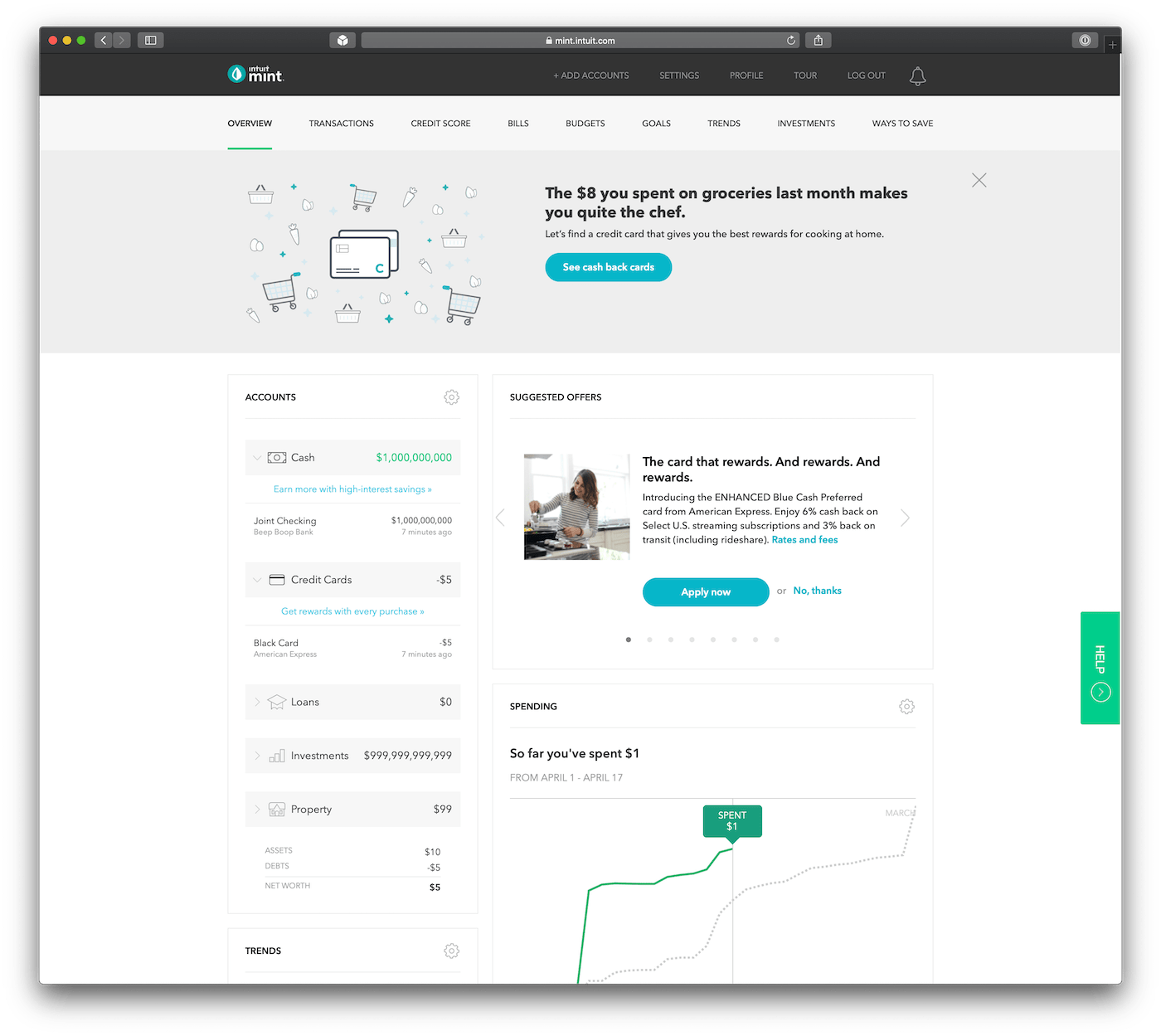 mint.com overview page before